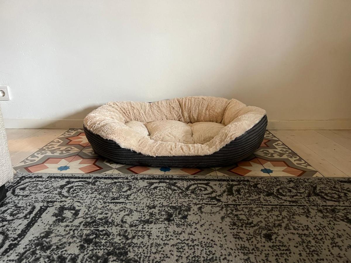 B&B Appartement Rebel And Moon In Het Centrum Van Alblasserdam 外观 照片